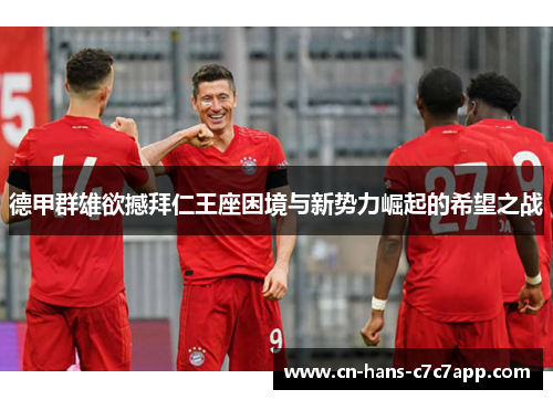 德甲群雄欲撼拜仁王座困境与新势力崛起的希望之战