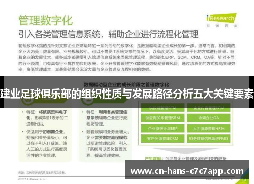 建业足球俱乐部的组织性质与发展路径分析五大关键要素