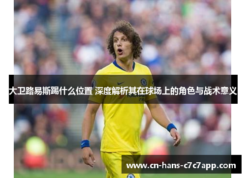 大卫路易斯踢什么位置 深度解析其在球场上的角色与战术意义