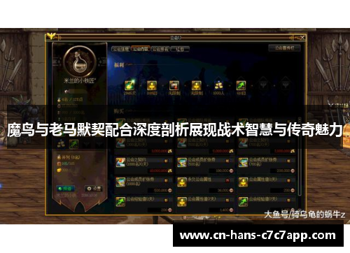 魔鸟与老马默契配合深度剖析展现战术智慧与传奇魅力