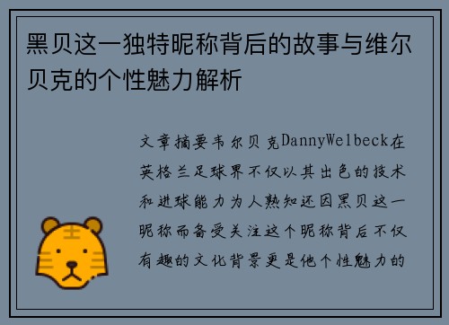 黑贝这一独特昵称背后的故事与维尔贝克的个性魅力解析